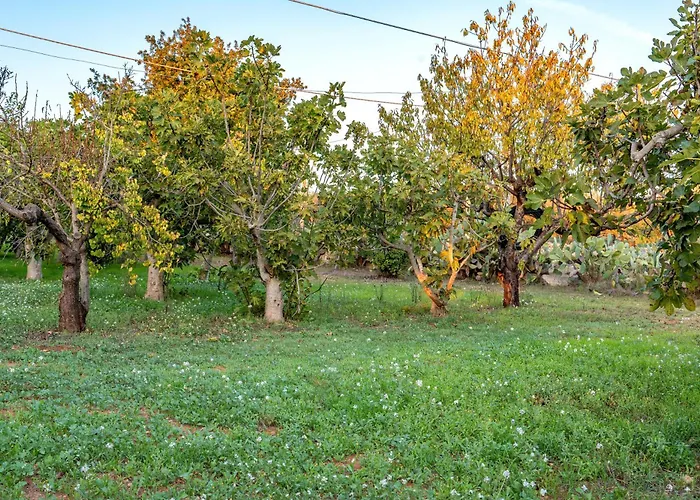 빌라 Dany With Pool